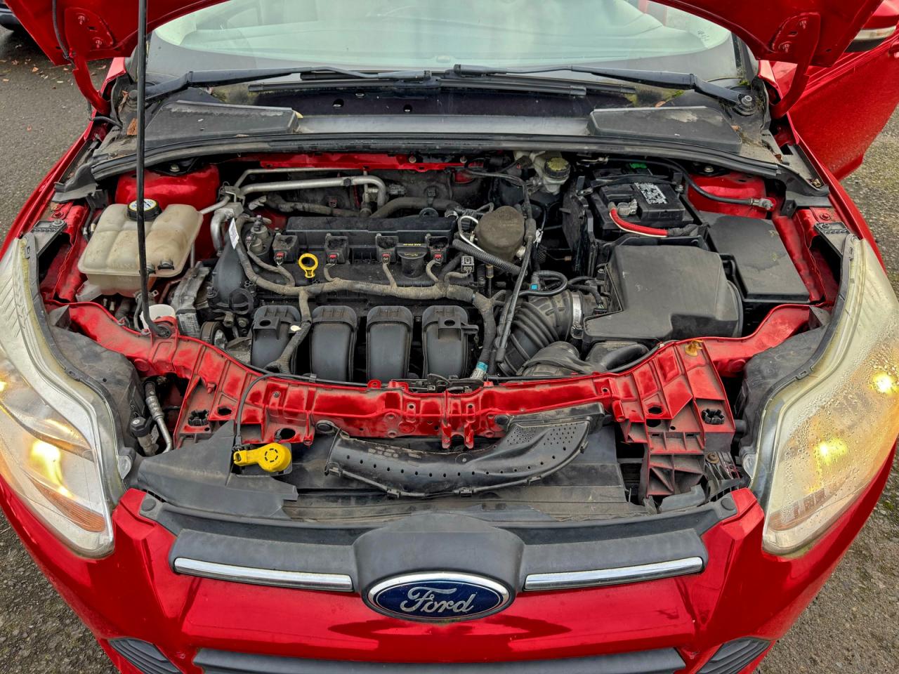 2013 FORD FOCUS SE photo 7