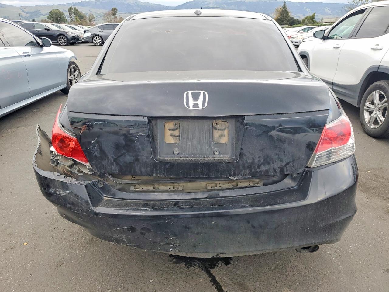 2010 HONDA ACCORD EXL photo 6