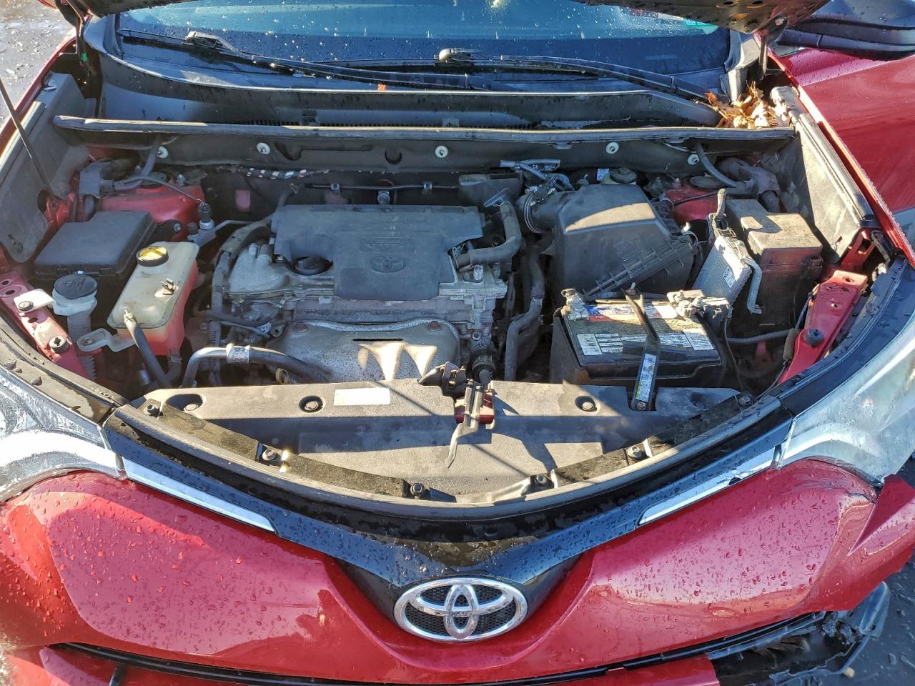 2016 TOYOTA RAV4 LE photo 12