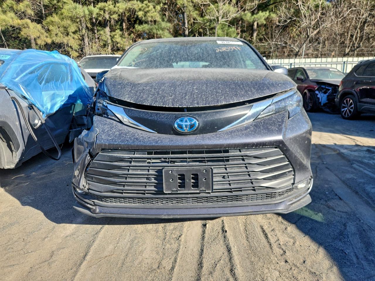 2025 TOYOTA SIENNA XLE photo 5