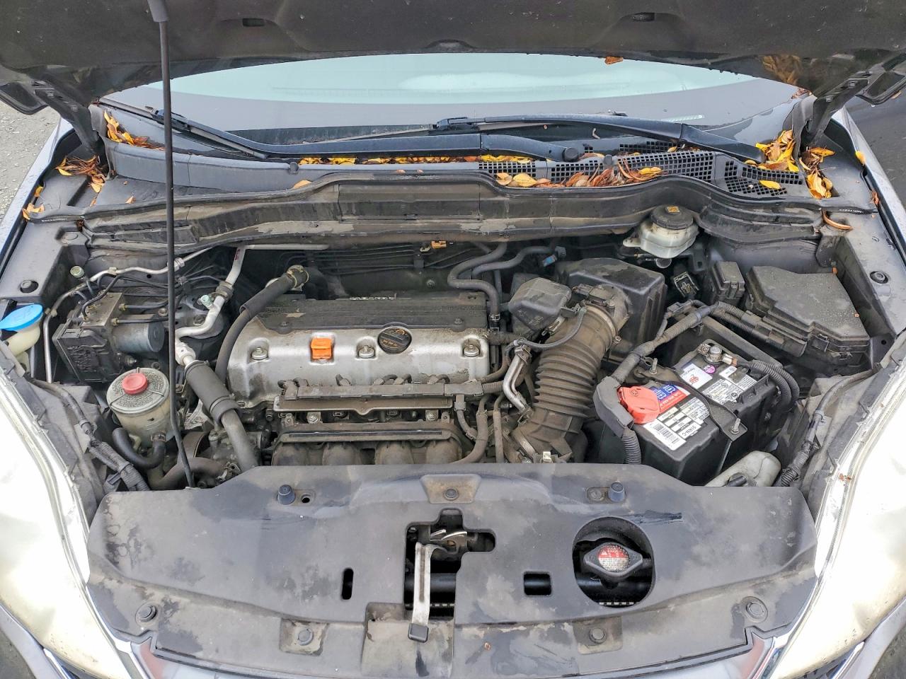 2010 HONDA CR-V photo 12