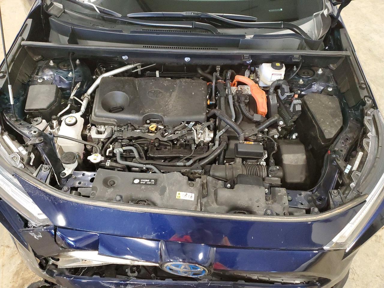 2024 TOYOTA RAV4 XLE photo 12