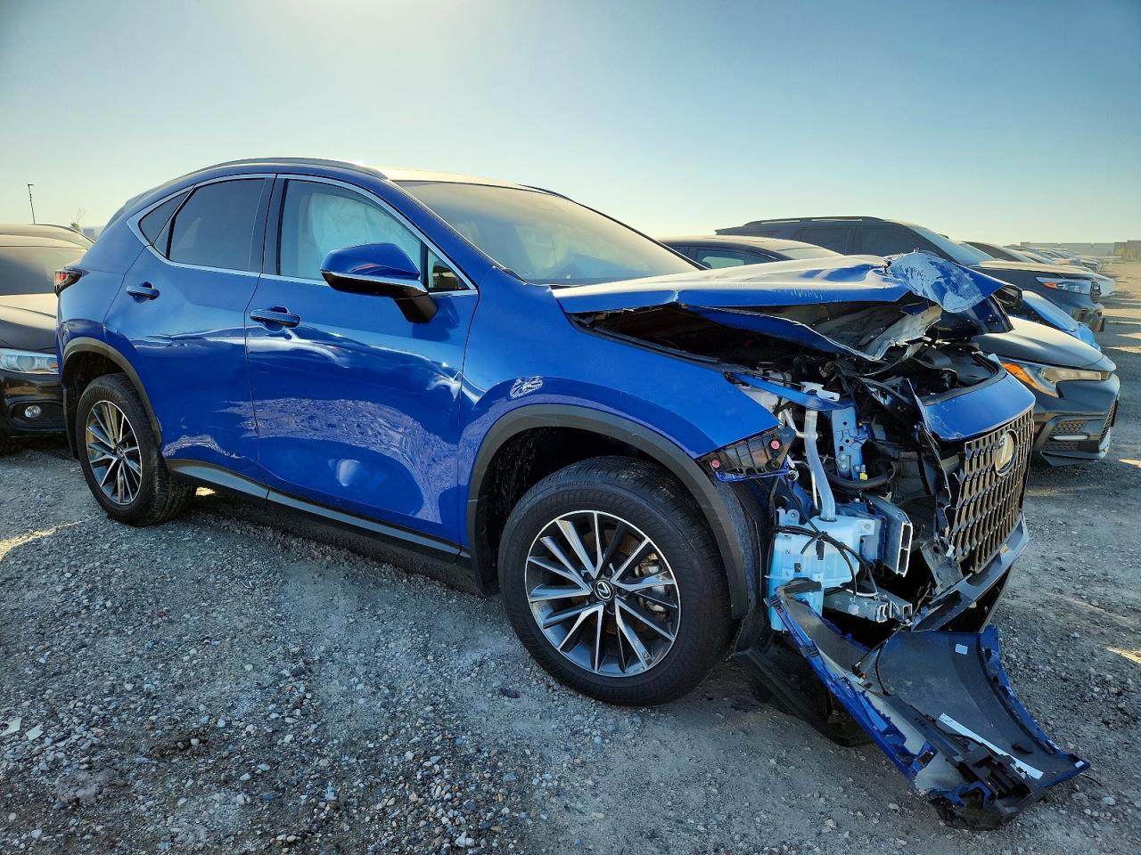2025 LEXUS NX 350H BASE photo 7