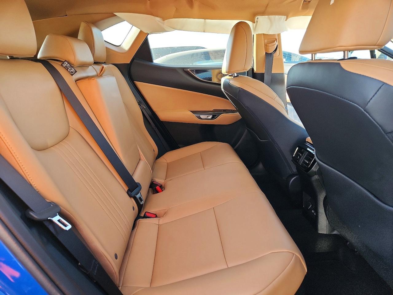 2025 LEXUS NX 350H BASE photo 21