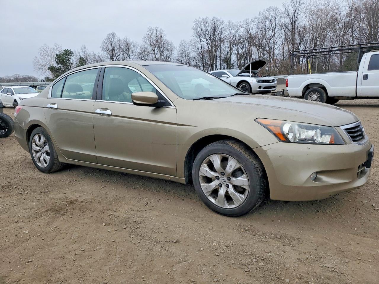2009 HONDA ACCORD EXL photo 4