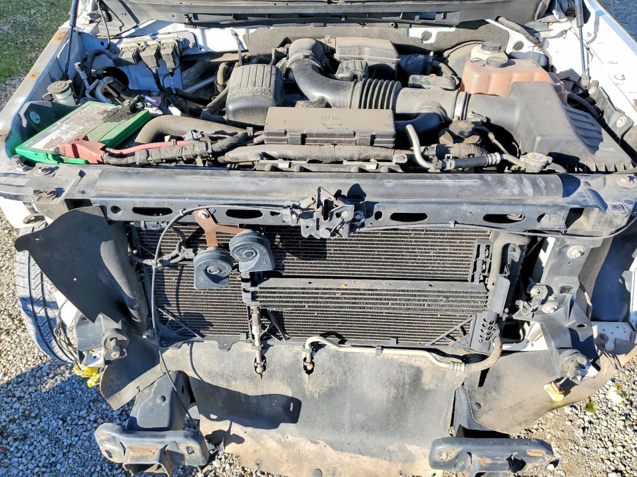 2010 FORD F150 SUPERCREW photo 11