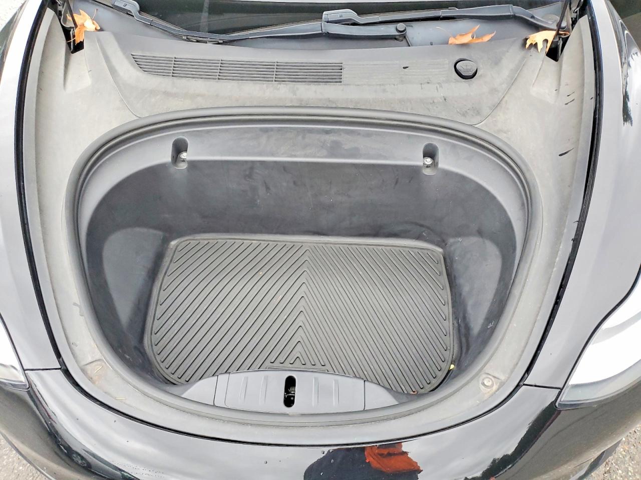 2020 TESLA MODEL 3 photo 11