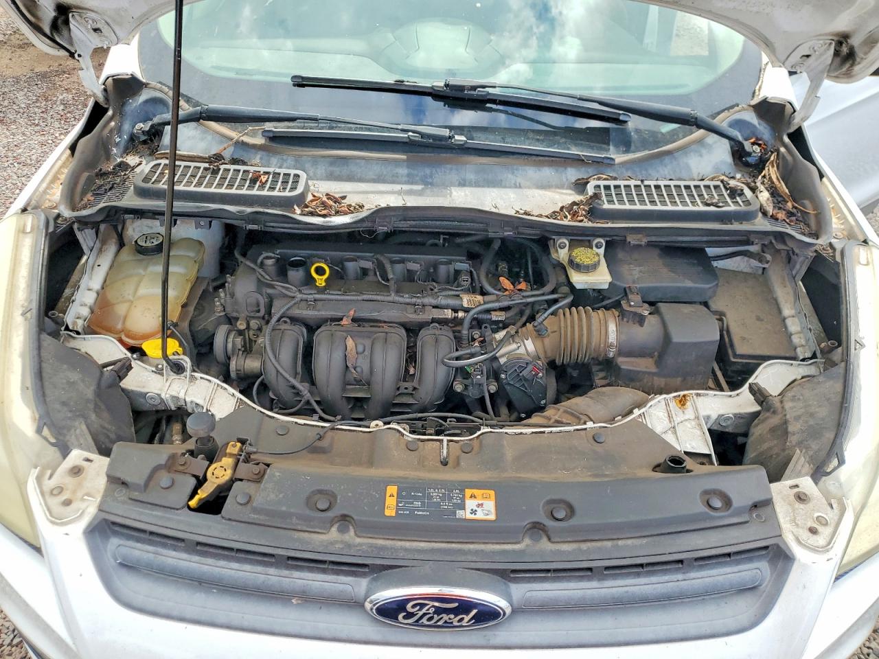 2013 FORD ESCAPE S photo 12