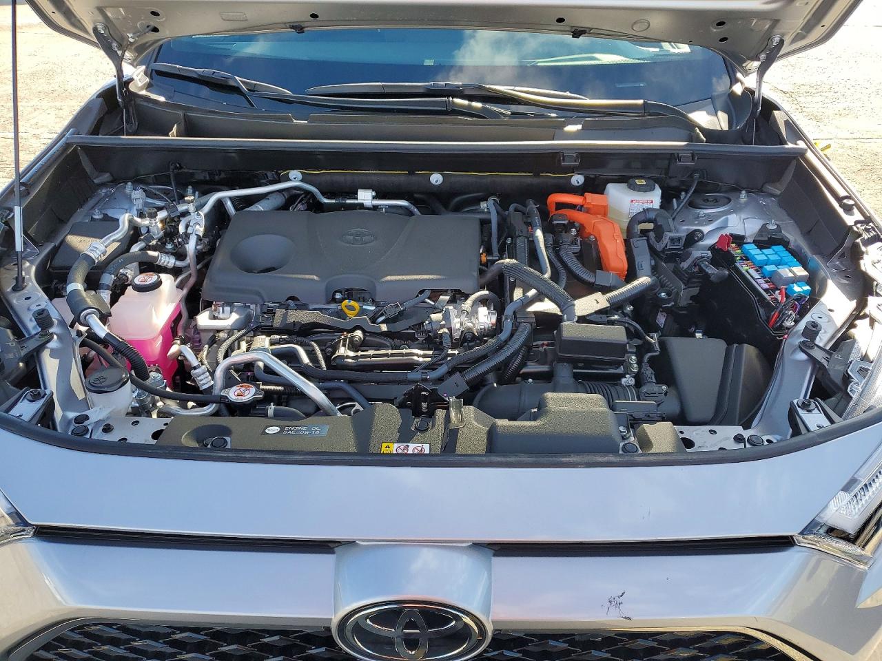 2025 TOYOTA RAV4 photo 12
