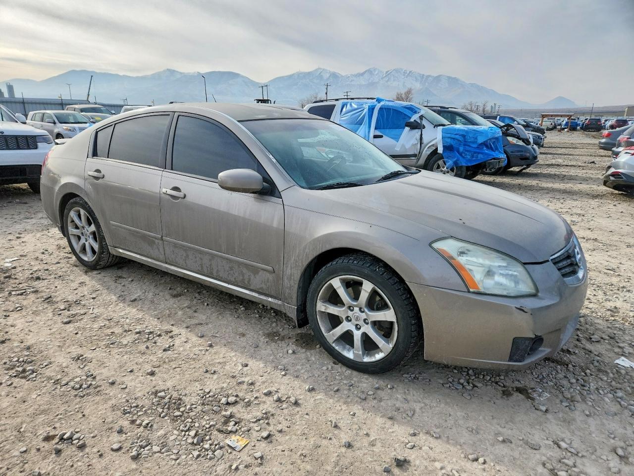 2007 NISSAN MAXIMA SE photo 4