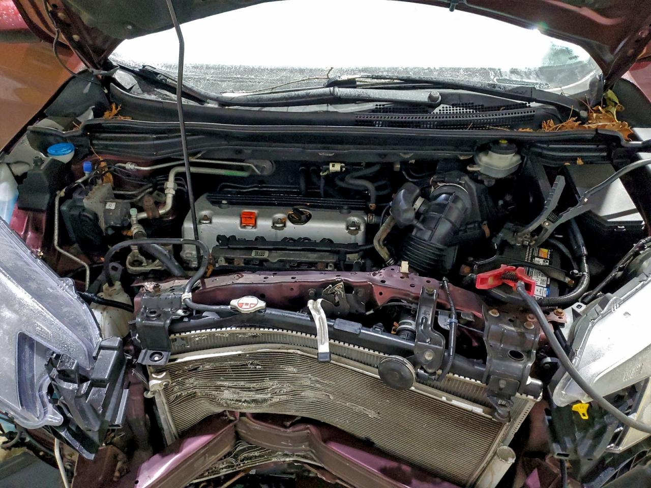 2014 HONDA CR-V EX photo 12
