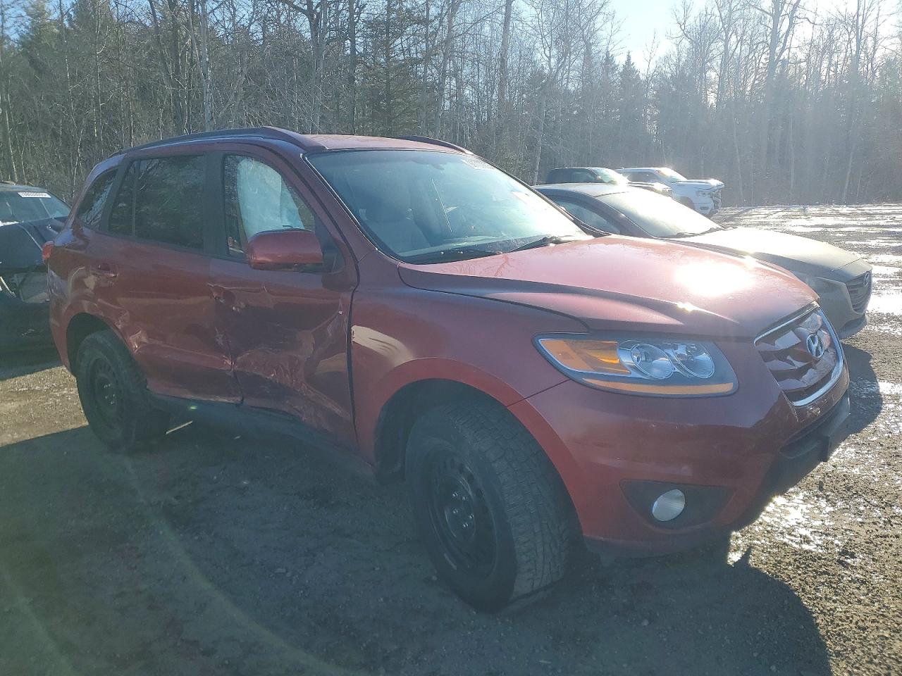 2010 HYUNDAI SANTA FE GLS photo 4
