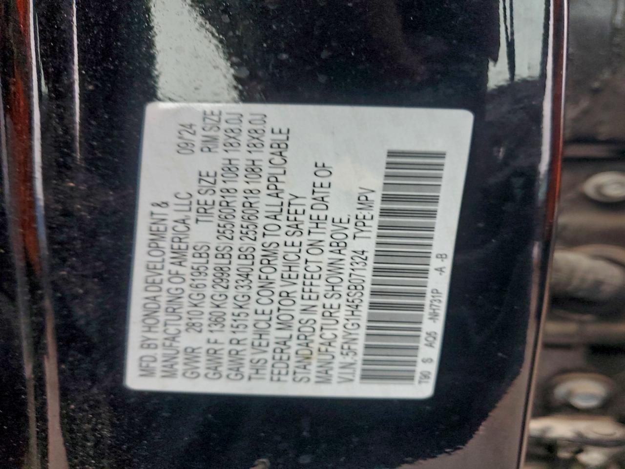 2025 HONDA PILOT EXL photo 13