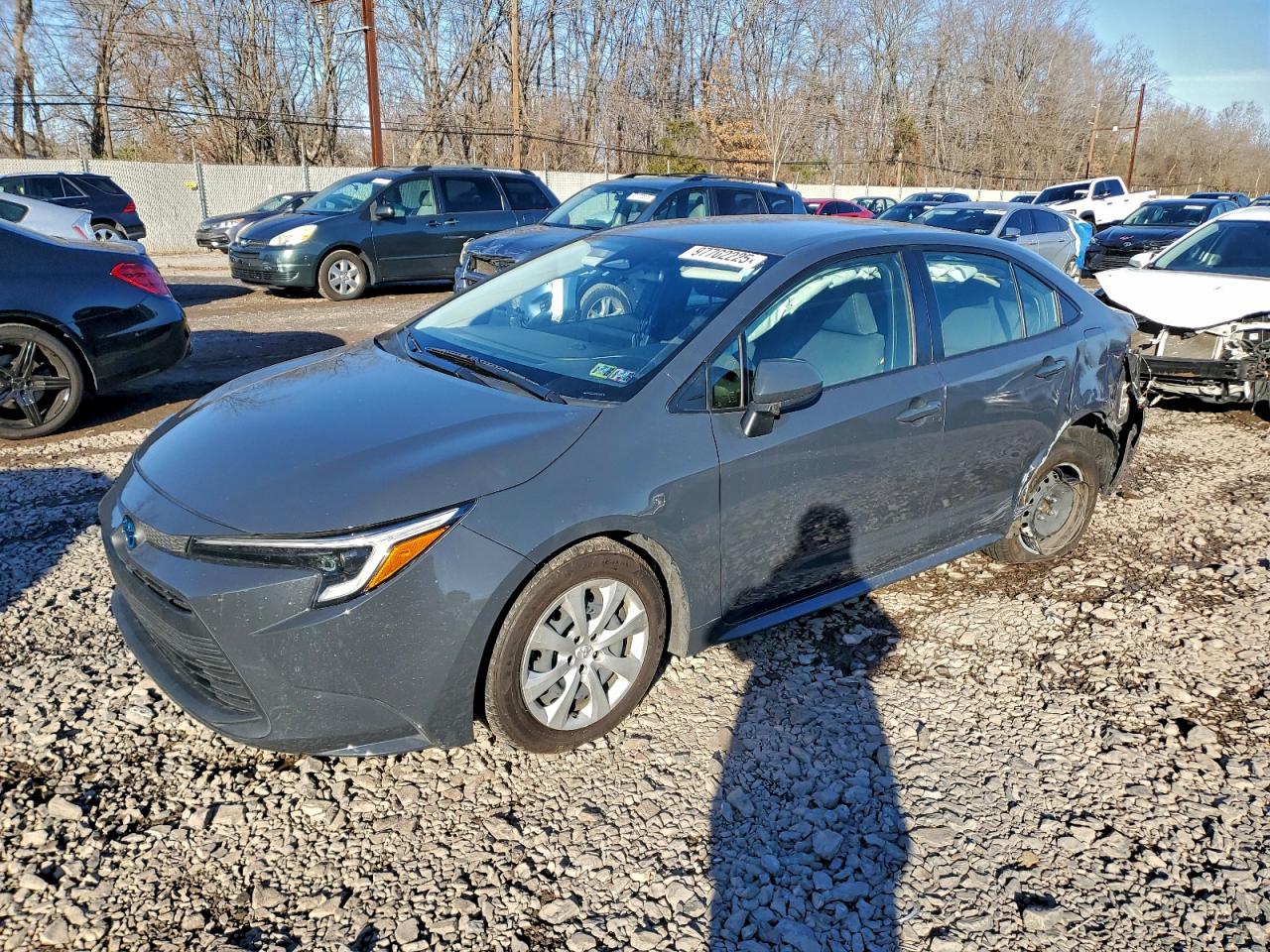 2023 TOYOTA COROLLA