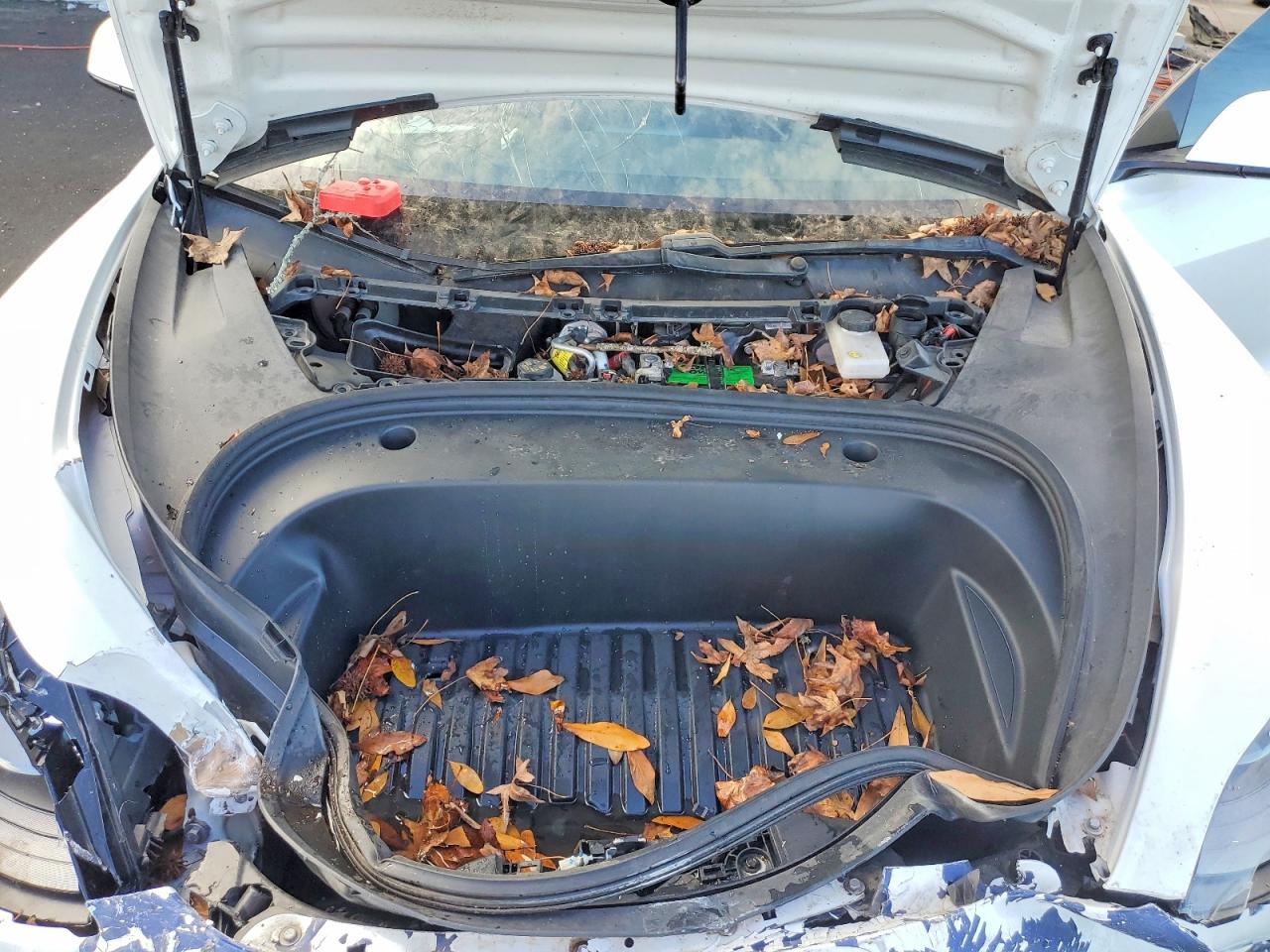 2021 TESLA MODEL 3 photo 11