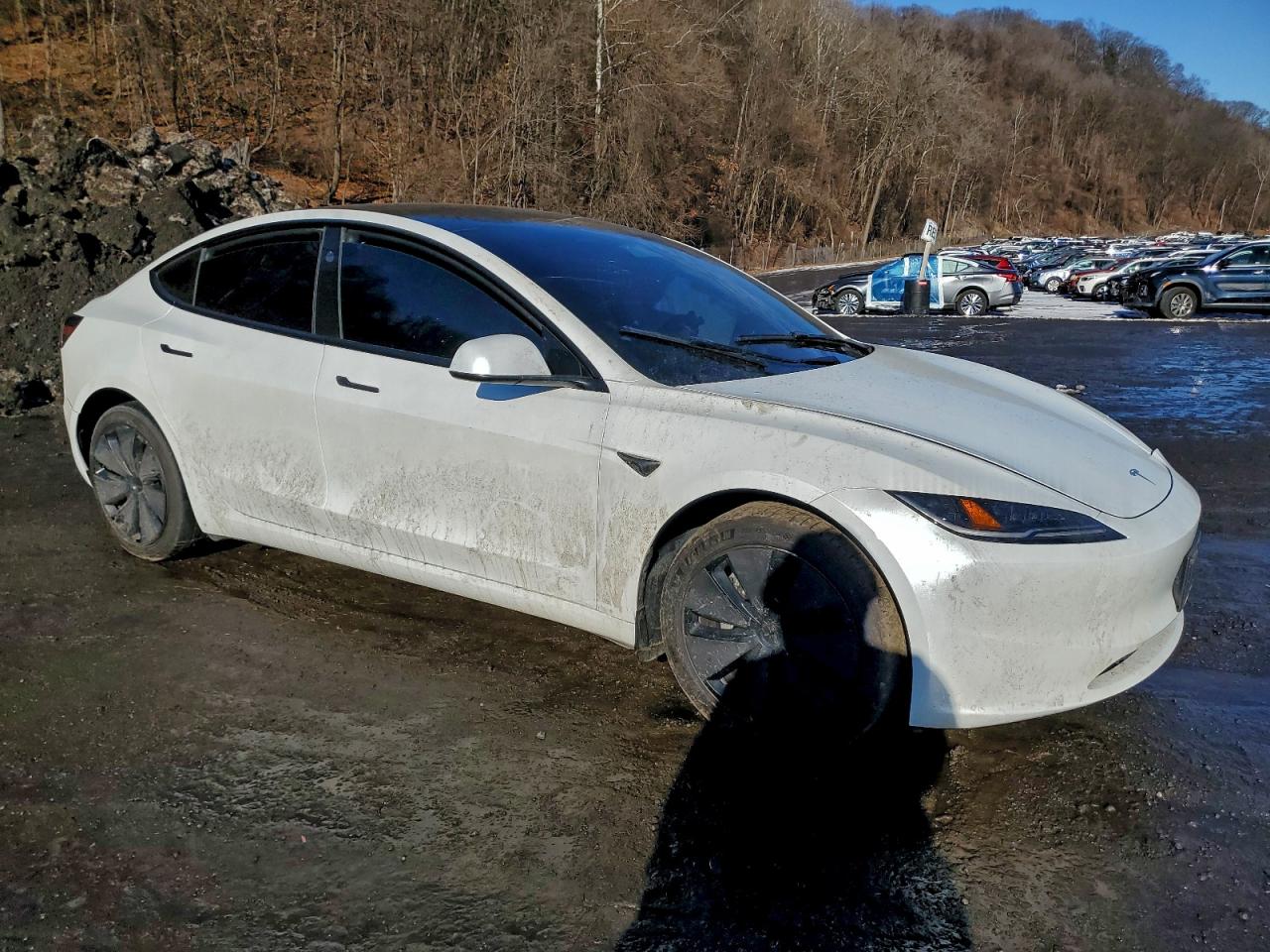 2024 TESLA MODEL 3 photo 4