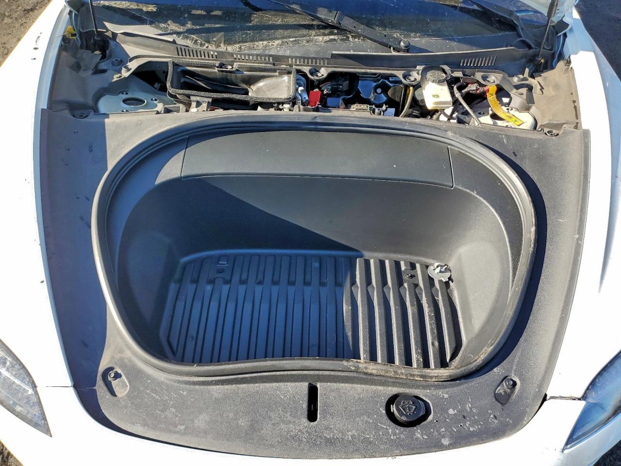2024 TESLA MODEL 3 photo 11