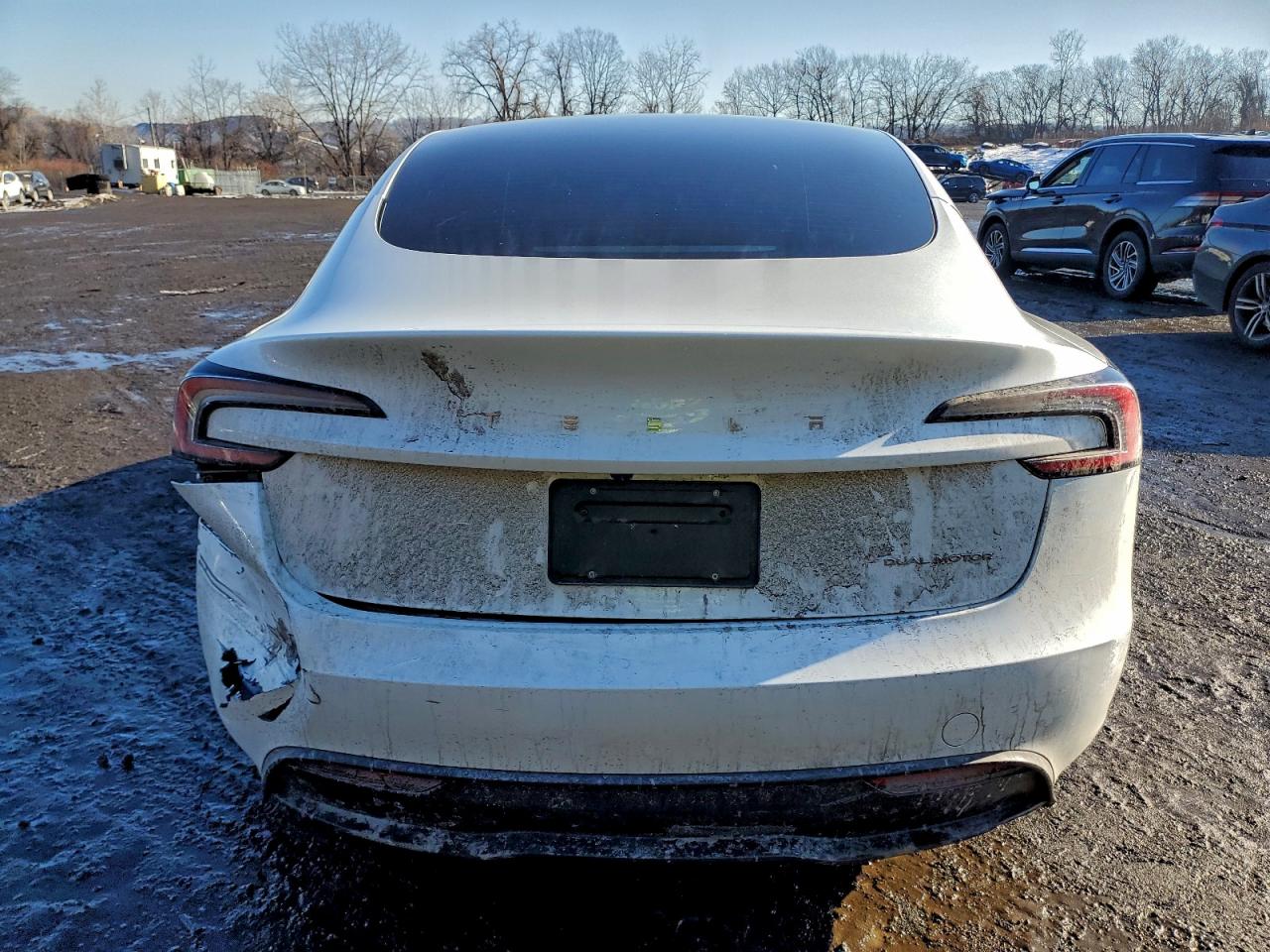 2024 TESLA MODEL 3 photo 6