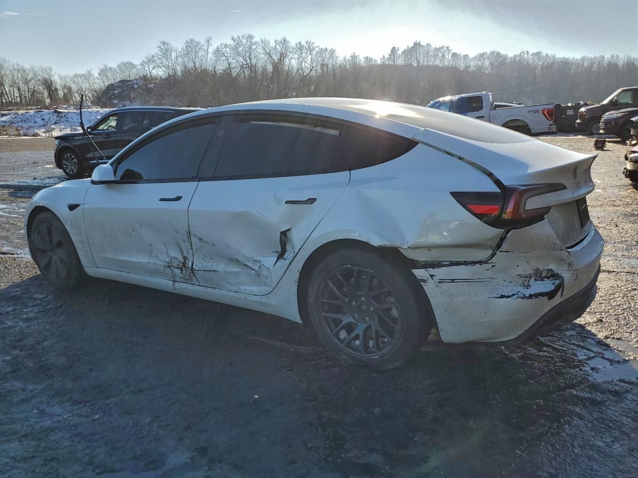 2024 TESLA MODEL 3 photo 2