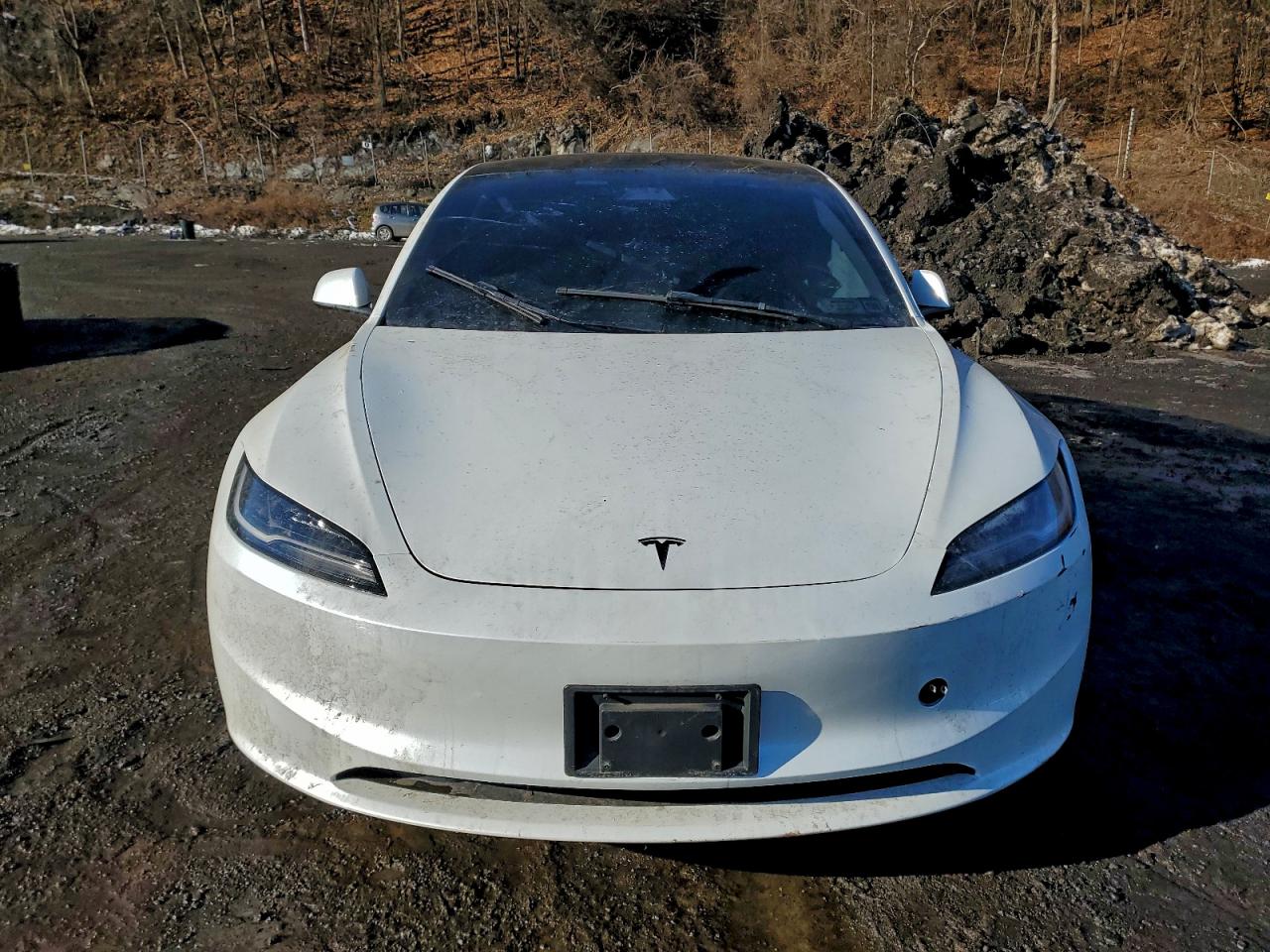 2024 TESLA MODEL 3 photo 5