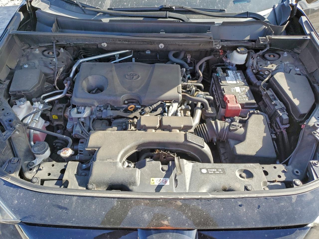 2019 TOYOTA RAV4 XLE photo 12