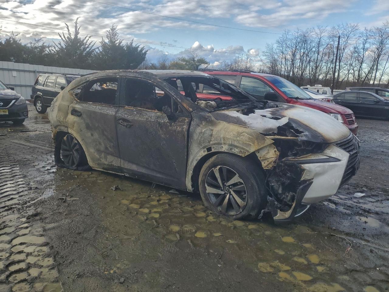 2021 LEXUS NX 300 BASE photo 4