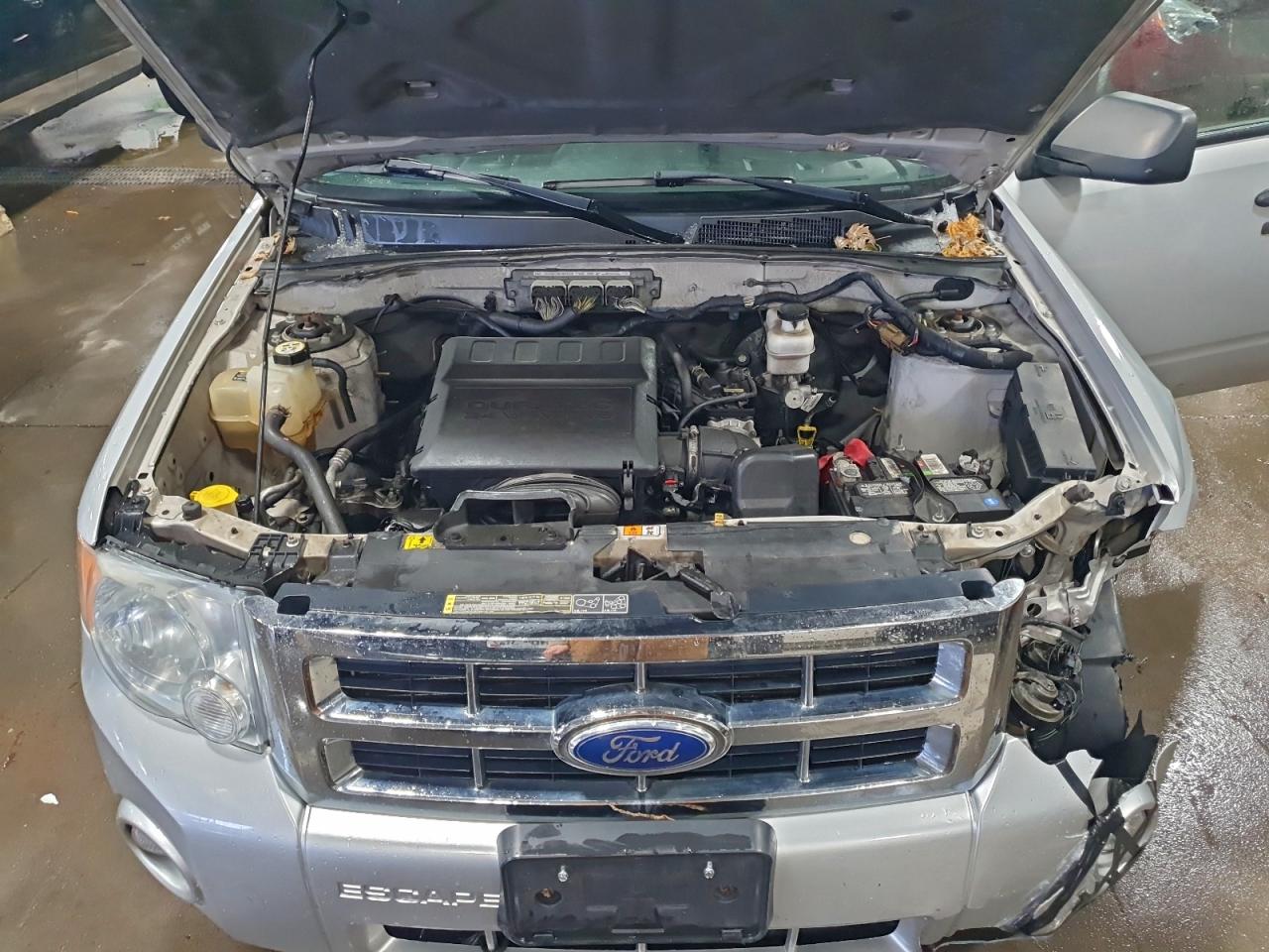 2011 FORD ESCAPE XLT photo 12