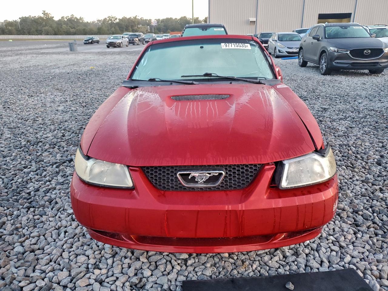 1999 FORD MUSTANG photo 5