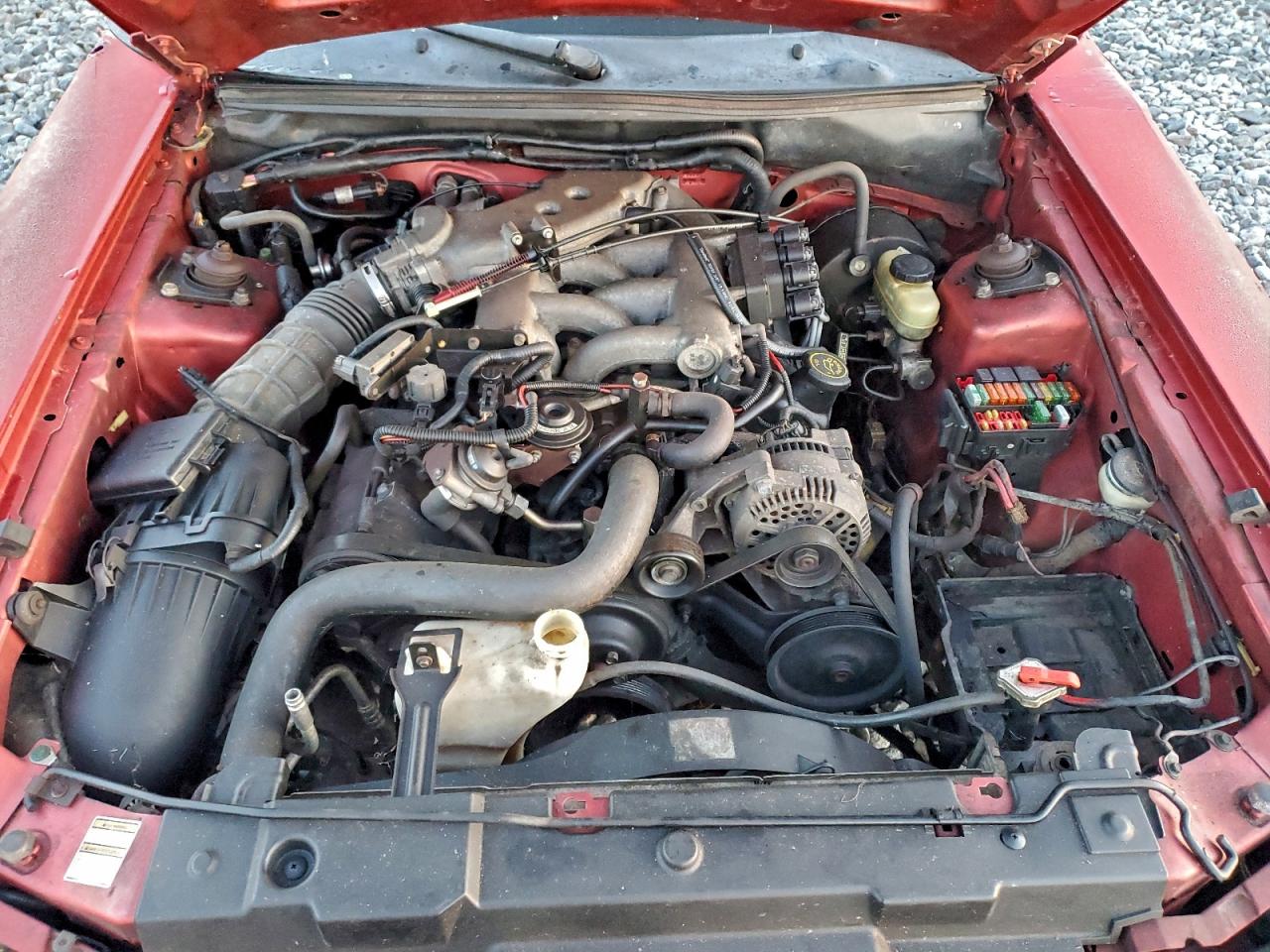 1999 FORD MUSTANG photo 11