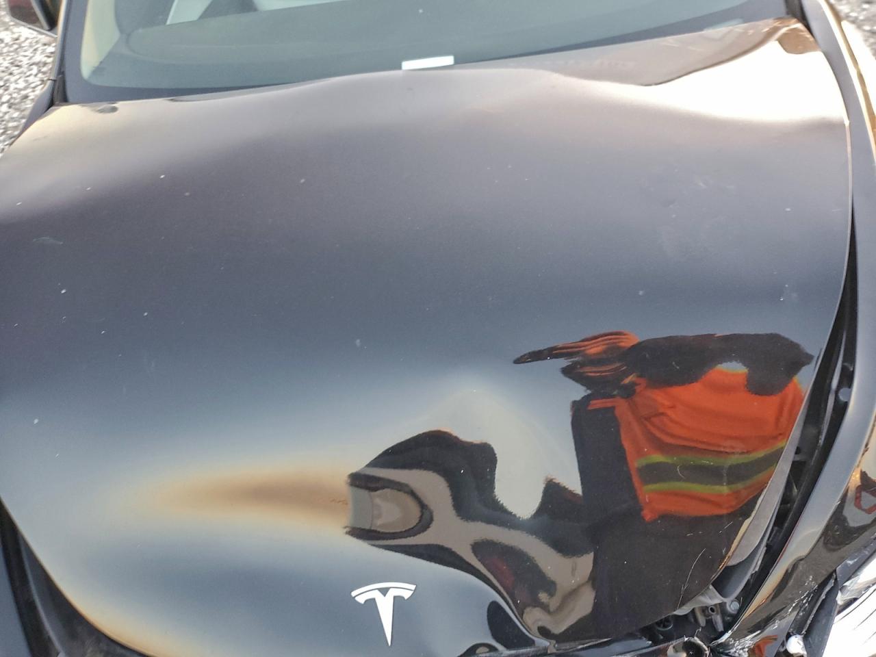 2019 TESLA MODEL 3 photo 11