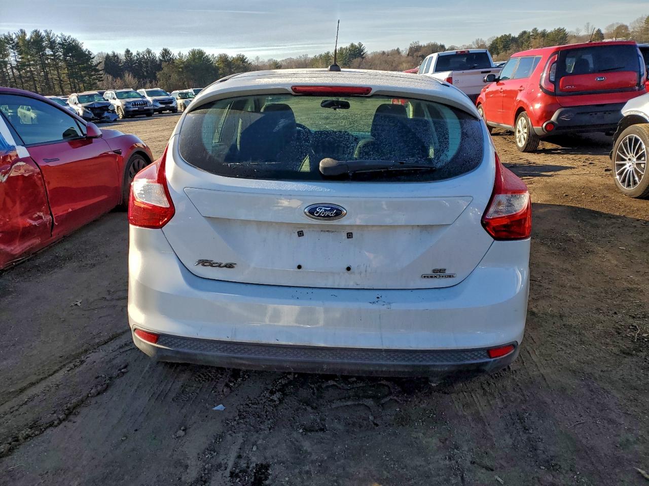 2014 FORD FOCUS SE photo 6