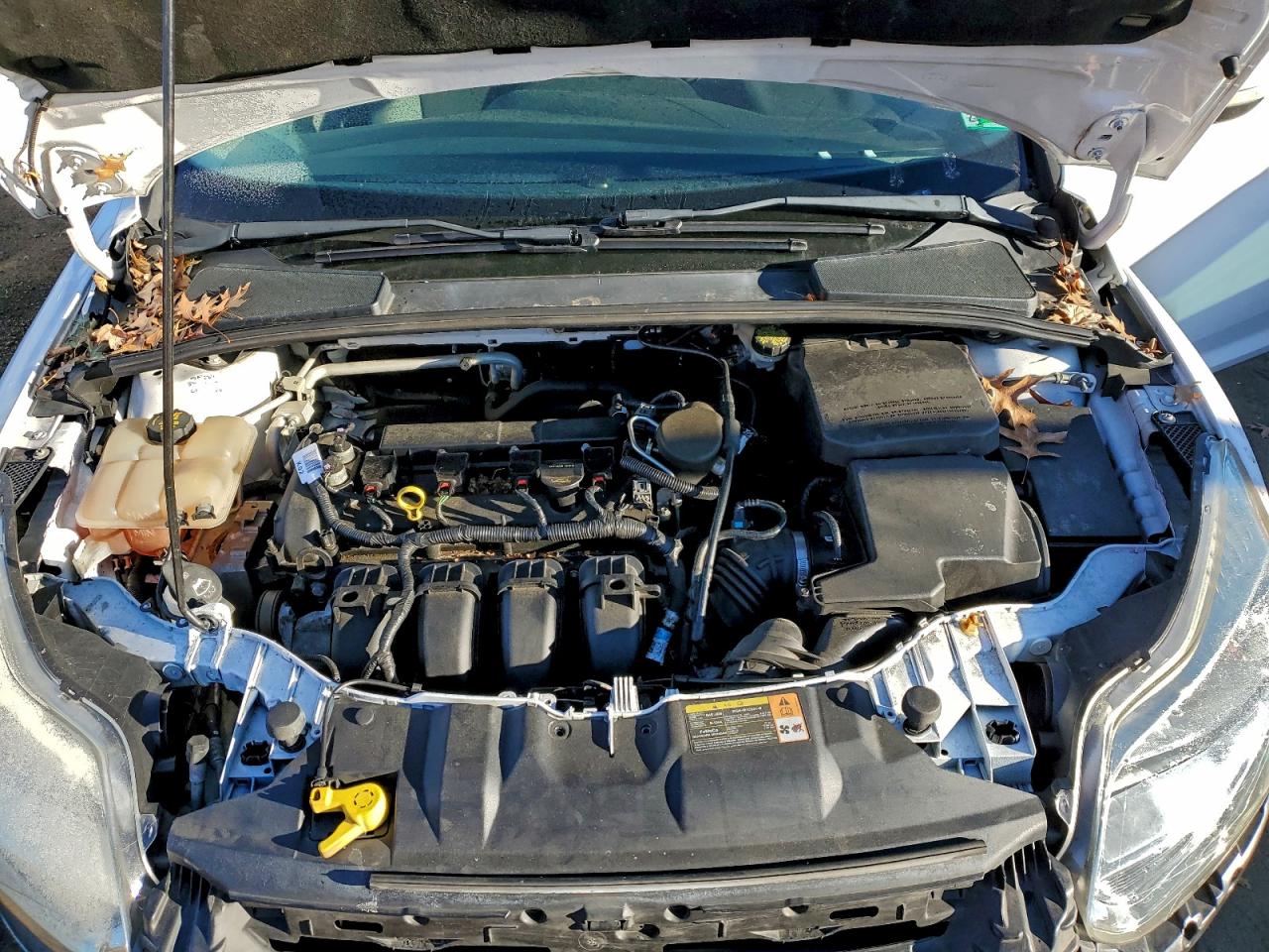 2014 FORD FOCUS SE photo 11