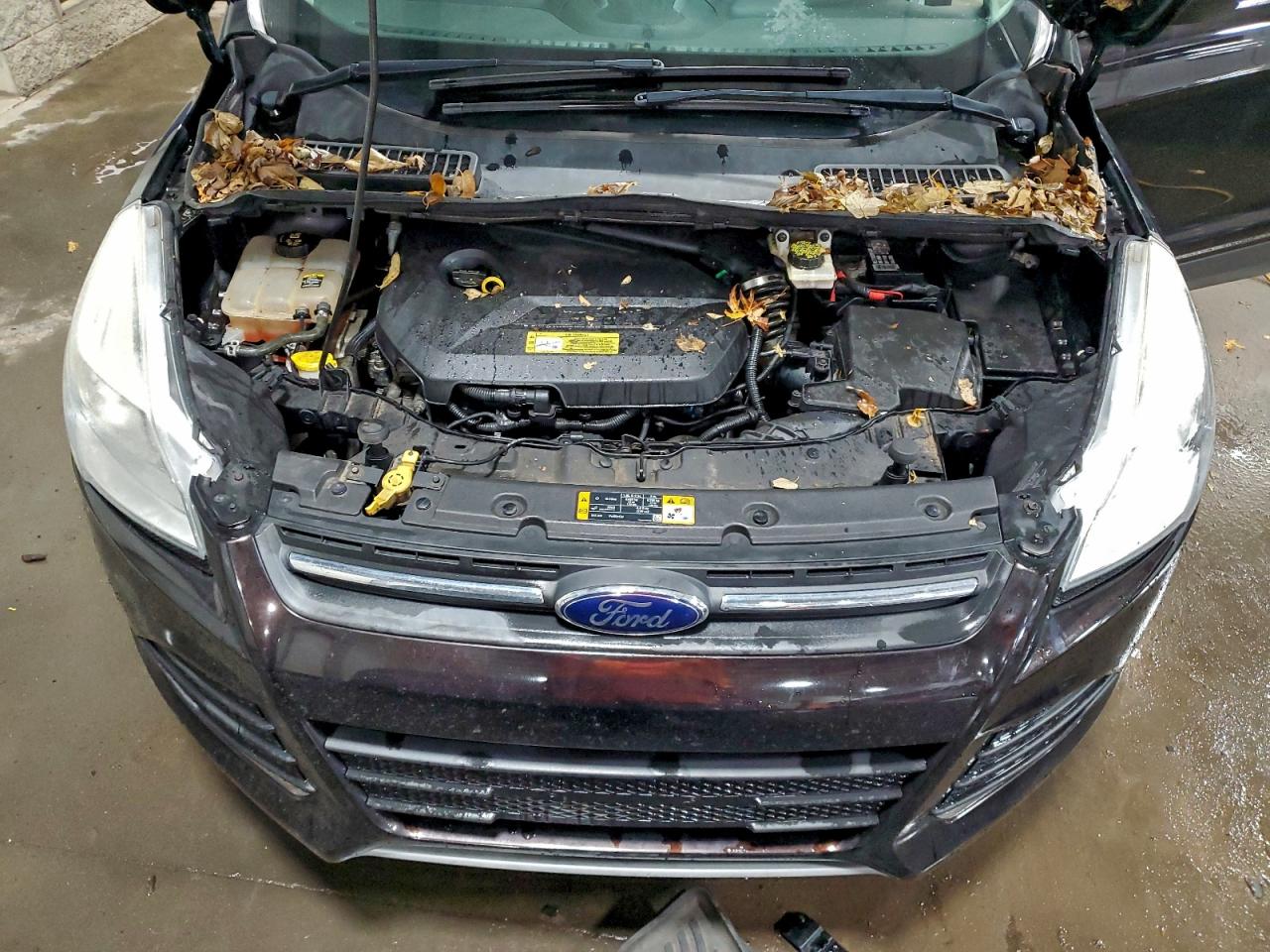 2013 FORD ESCAPE SE photo 12