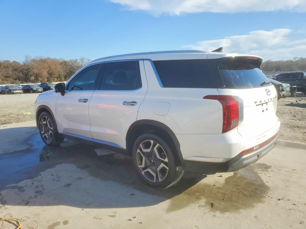 2024 HYUNDAI PALISADE LIMITED photo 2