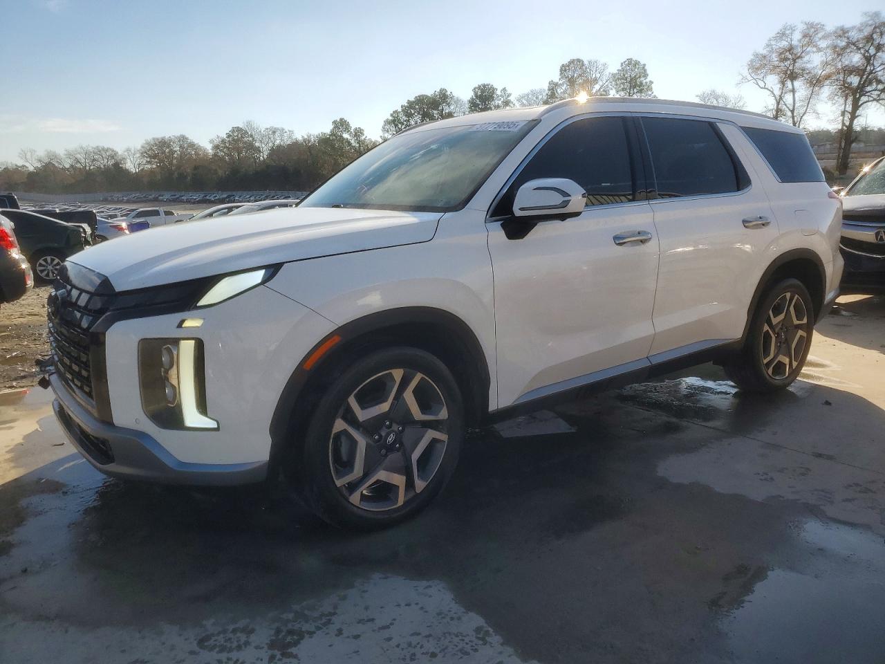 2024 HYUNDAI PALISADE