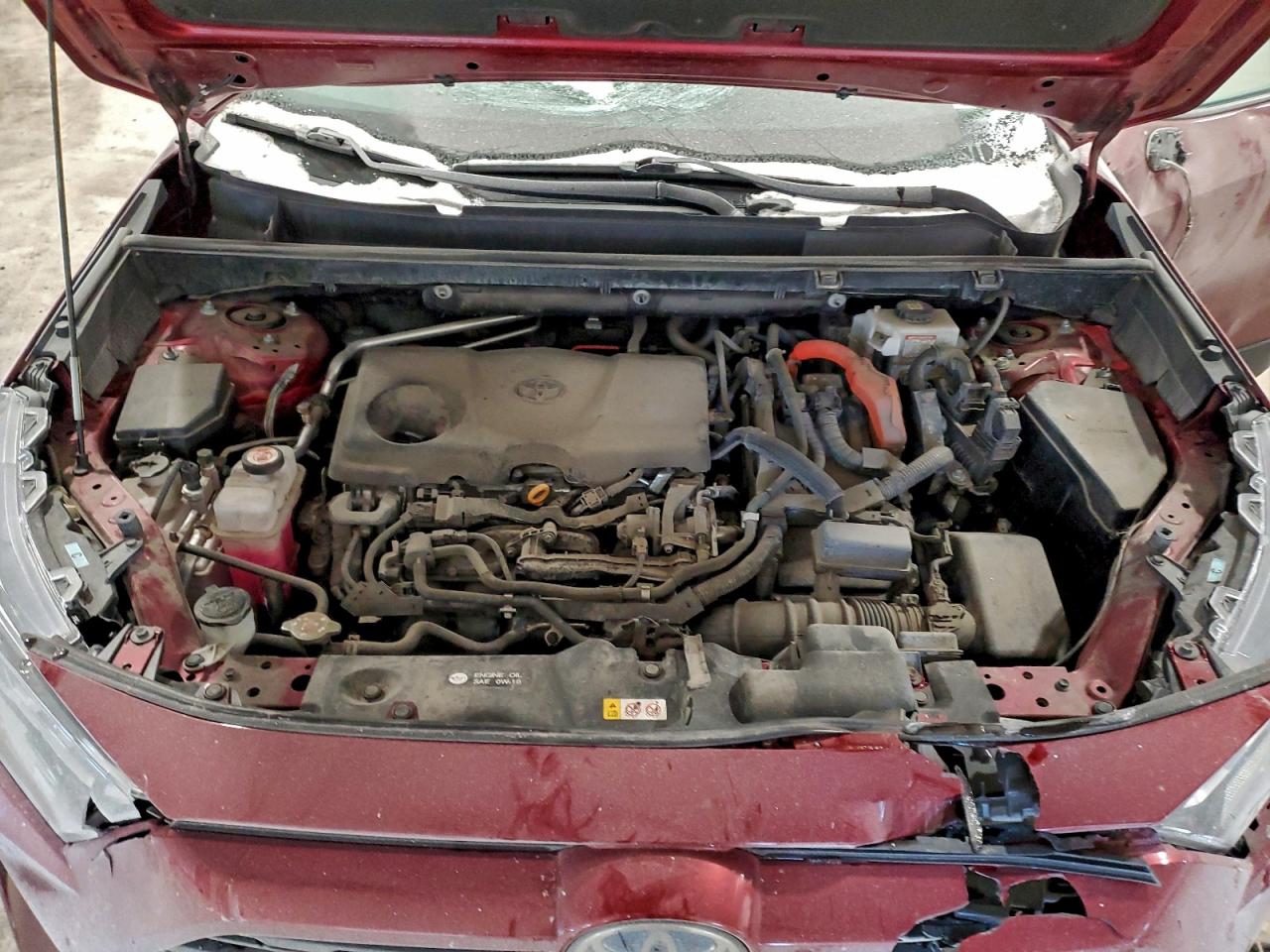 2021 TOYOTA RAV4 XLE photo 12