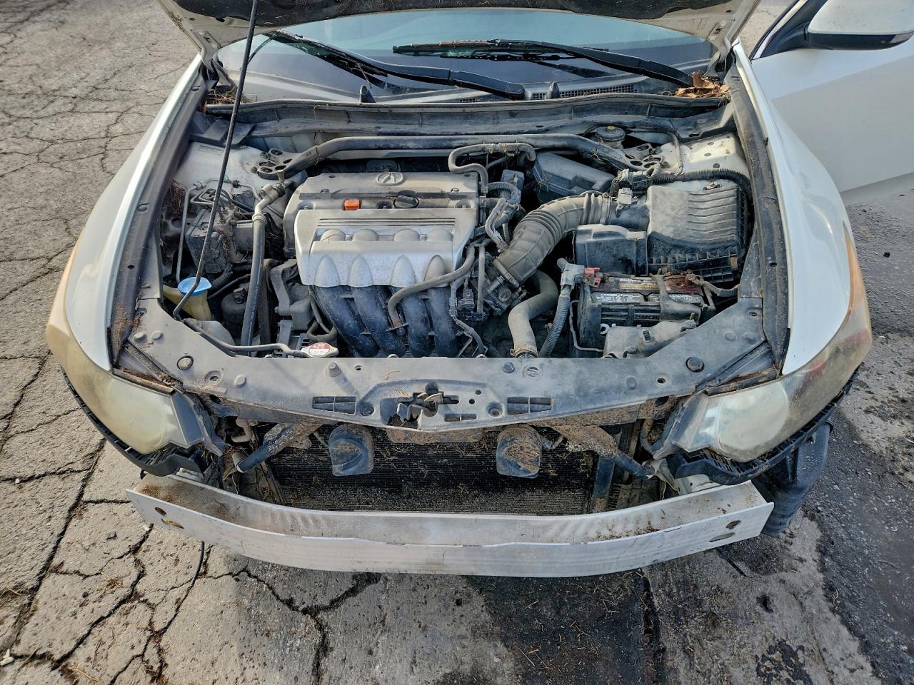 2010 ACURA TSX photo 11
