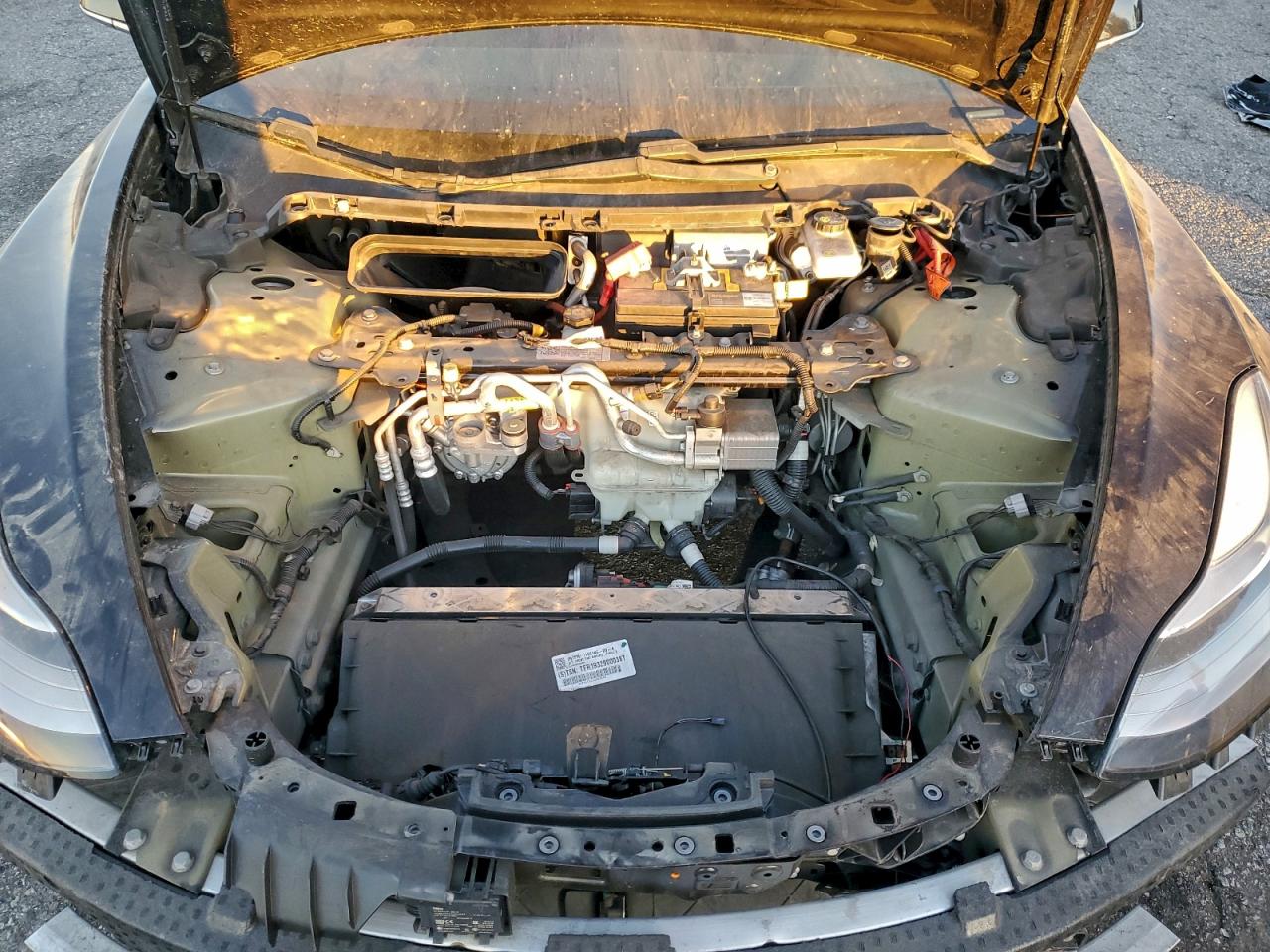 2020 TESLA MODEL 3 photo 11