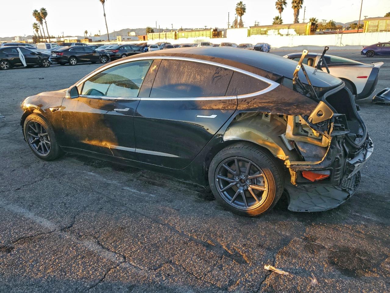2020 TESLA MODEL 3 photo 2