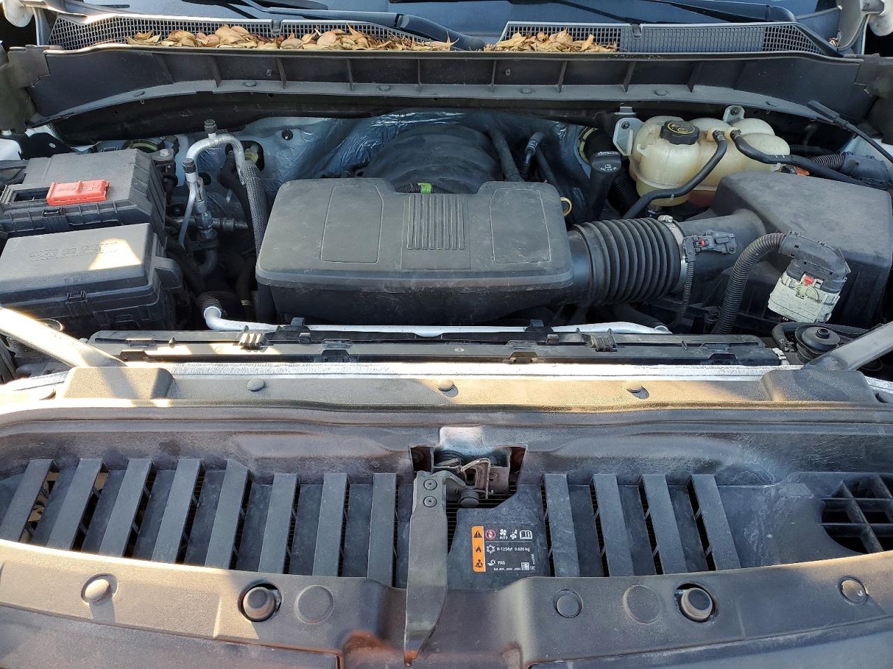 2019 CHEVROLET SILVERADO C1500 photo 11
