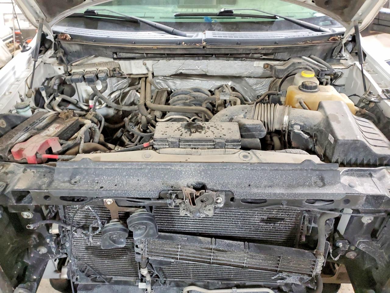 2014 FORD F150 photo 11