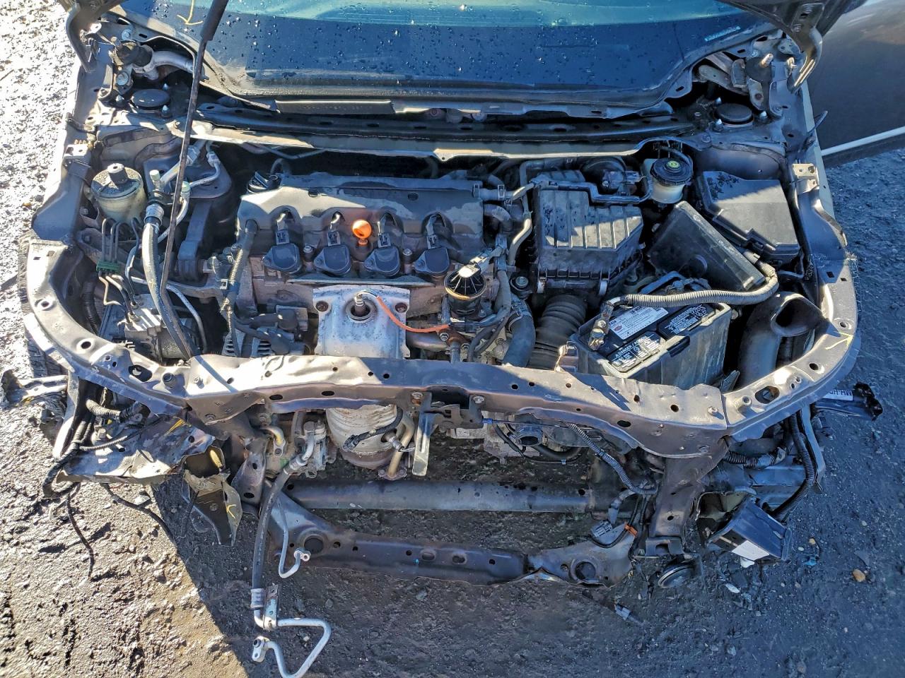 2009 HONDA CIVIC EXL photo 11