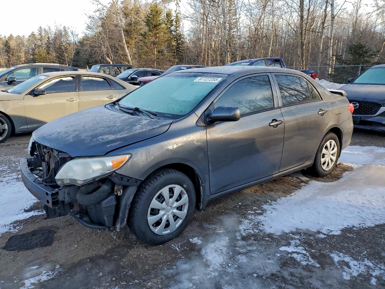 2013 TOYOTA COROLLA