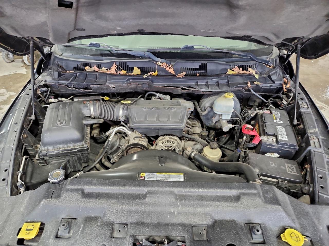 2010 DODGE RAM 1500 photo 11