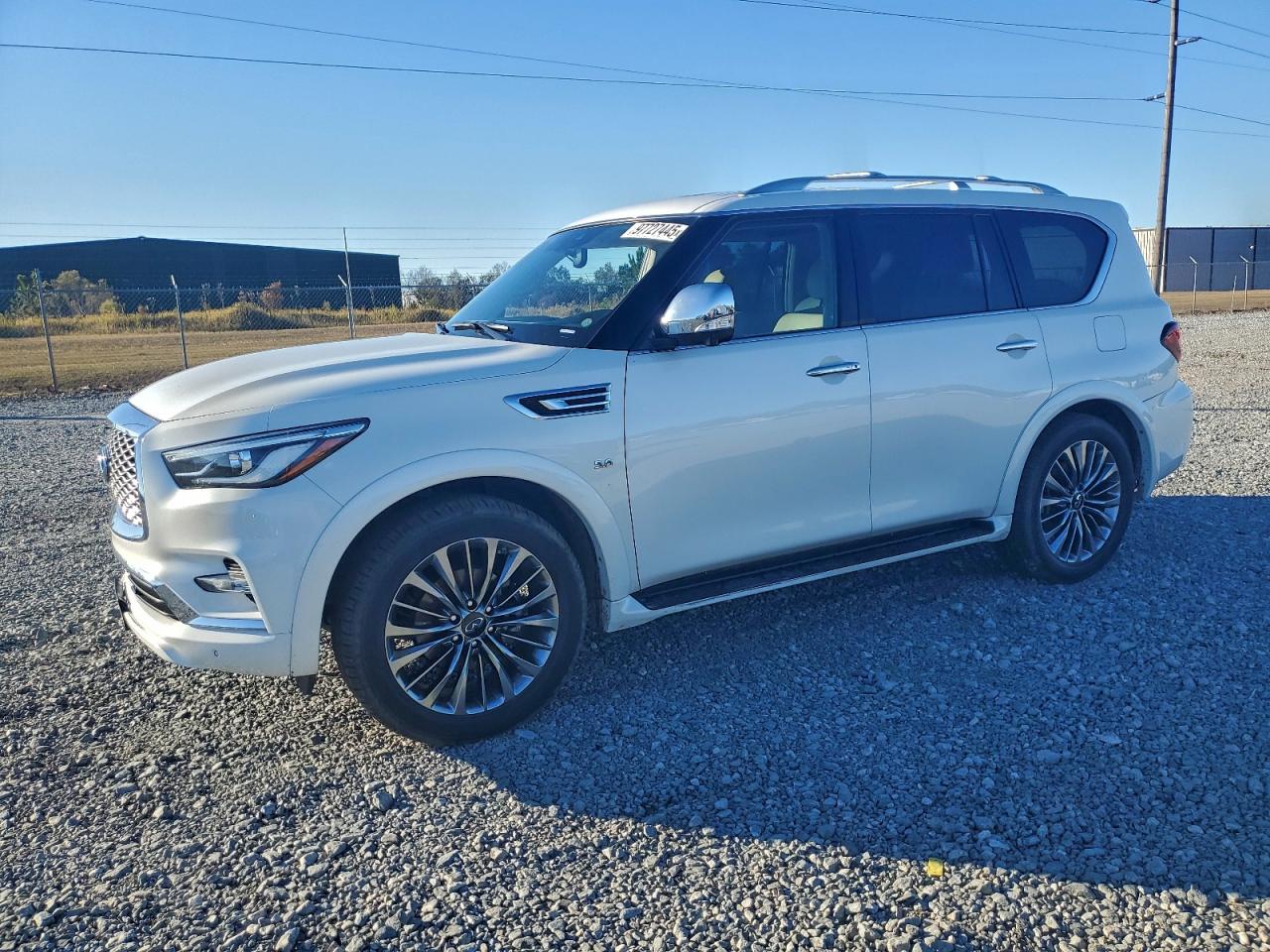 2019 INFINITI QX80