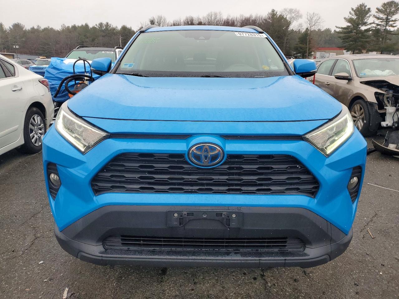 2019 TOYOTA RAV4 XLE photo 5