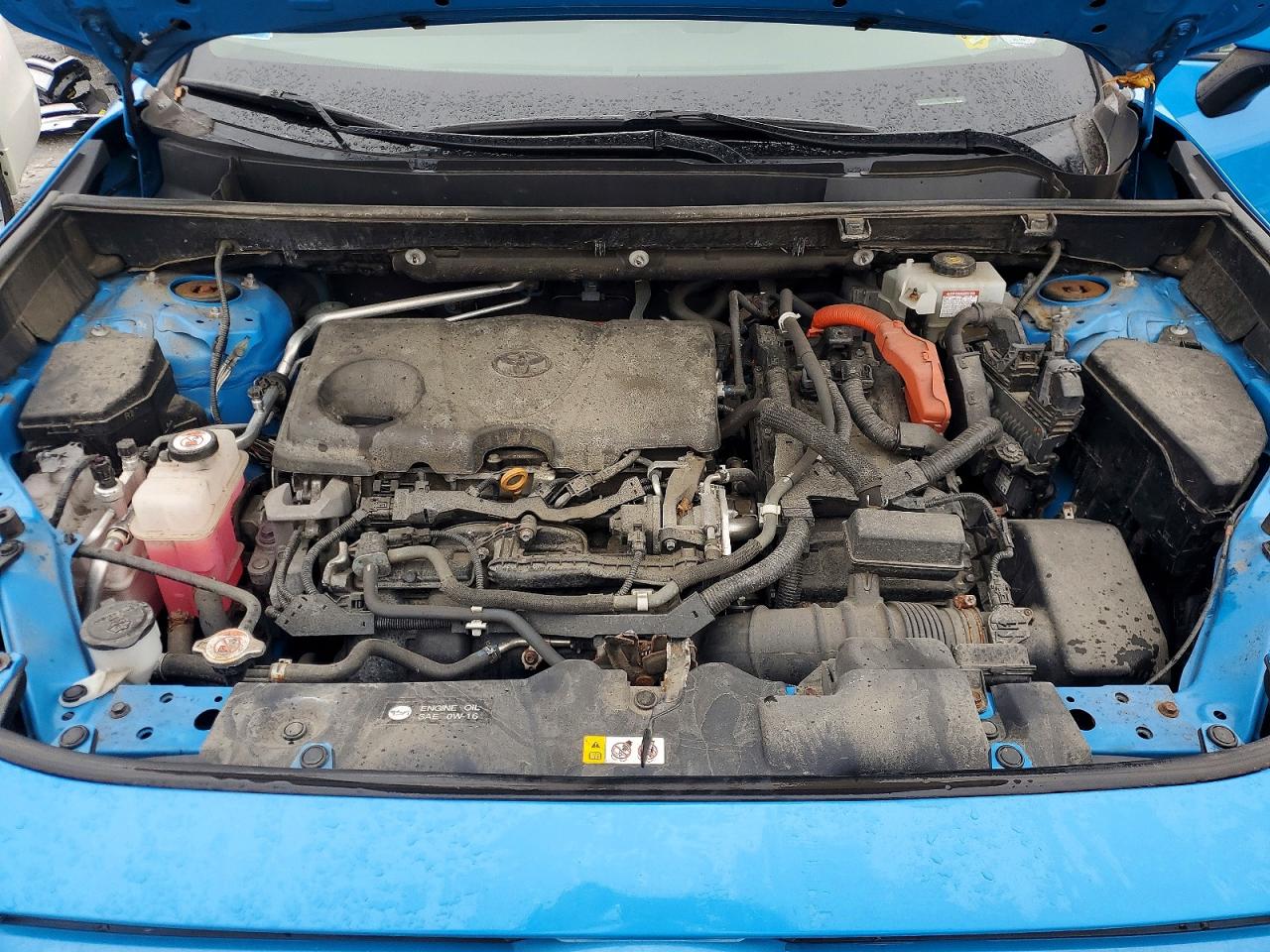 2019 TOYOTA RAV4 XLE photo 12