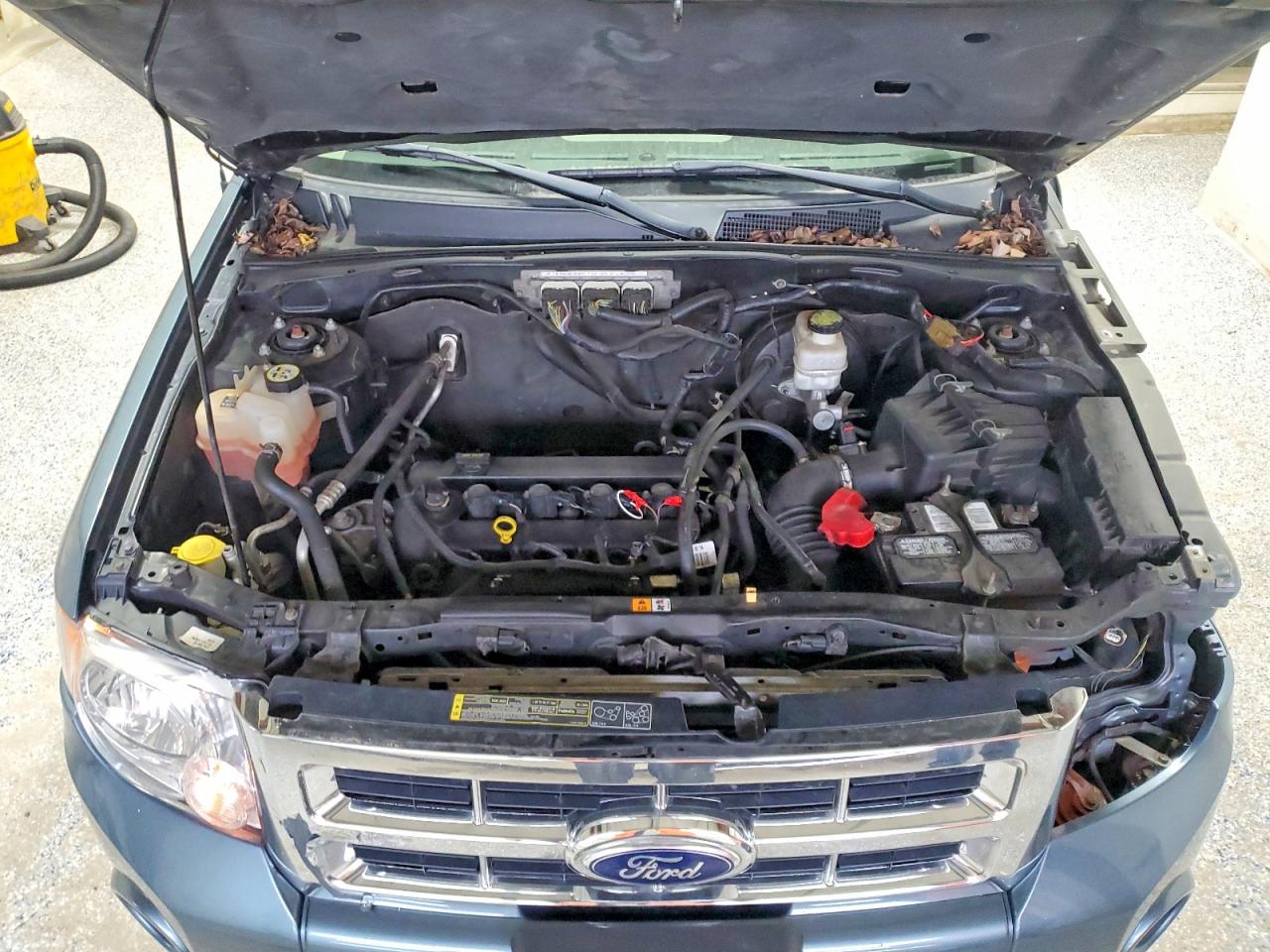 2012 FORD ESCAPE XLT photo 12