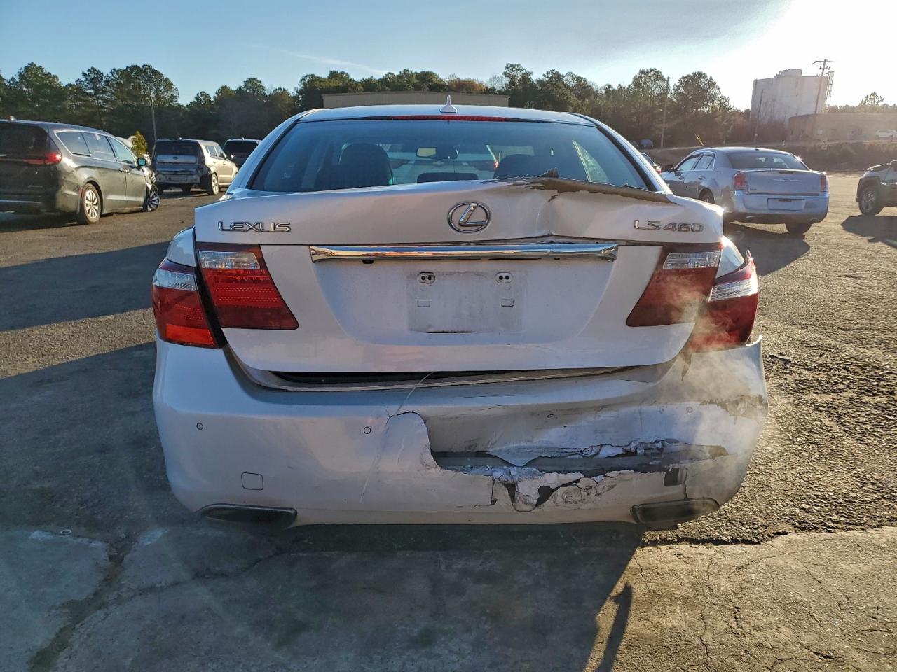 2007 LEXUS LS 460 photo 6