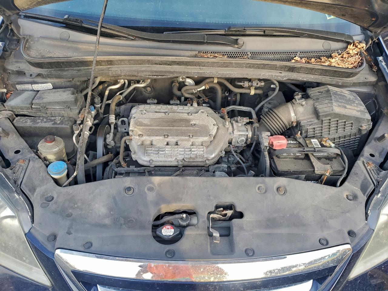 2007 HONDA ODYSSEY LX photo 12